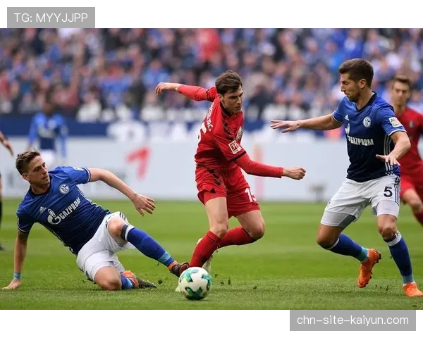 海登海姆下轮对阵弗赖堡，垫底球队能否延续爆冷势头？